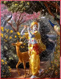 krishna images