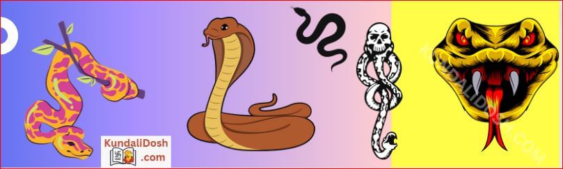 different type snake in dream meaning