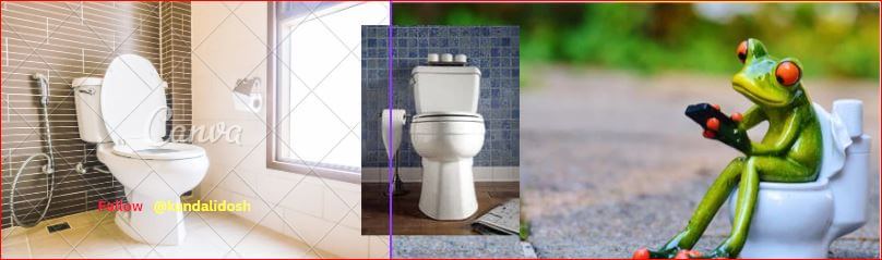 toilet vastu direction