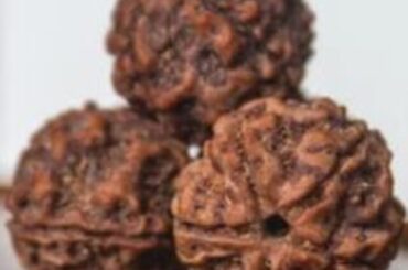 1 mukhi rudraksha benefits