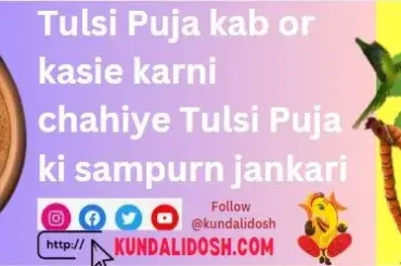 Tulsi Puja kab or kasie karni chahiye Tulsi Puja ki sampurn jankari