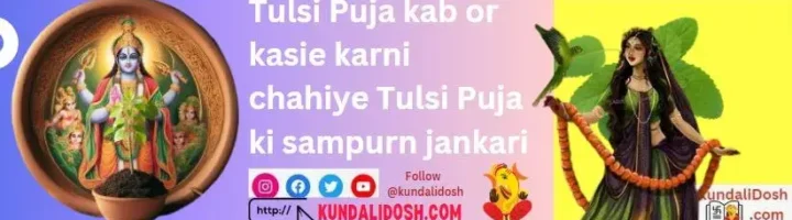 Tulsi Puja kab or kasie karni chahiye Tulsi Puja ki sampurn jankari