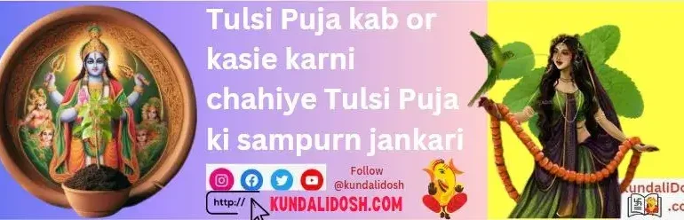 Tulsi Puja kab or kasie karni chahiye Tulsi Puja ki sampurn jankari