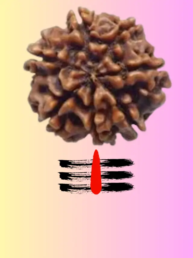 7 Mukhi Rudraksha Pehenne ho to chupke se ye bate jan le