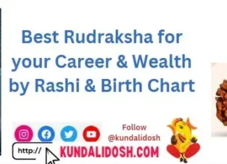 Best Rudraksha for your Career & Wealth by Rashi & Birth Chart