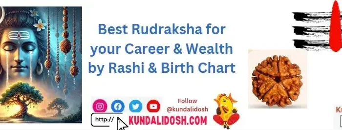 Best Rudraksha for your Career & Wealth by Rashi & Birth Chart