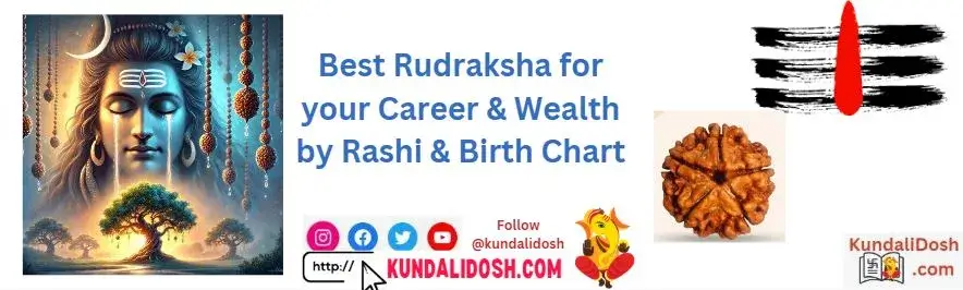 Best Rudraksha for your Career & Wealth by Rashi & Birth Chart