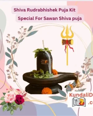 Shiva Rudrabhishek Puja Kit for the Holy Month of Sawan with Instruction Booklet